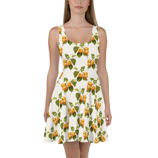 Apricot Dreams Flare Dress